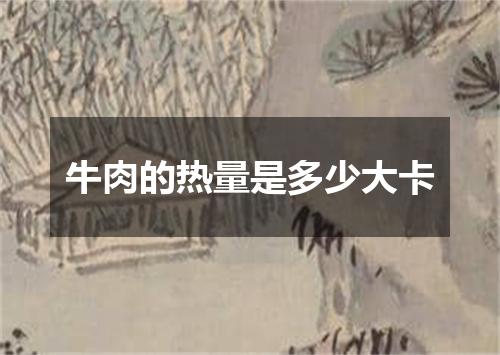 牛肉的热量是多少大卡