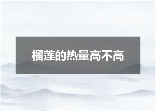 榴莲的热量高不高