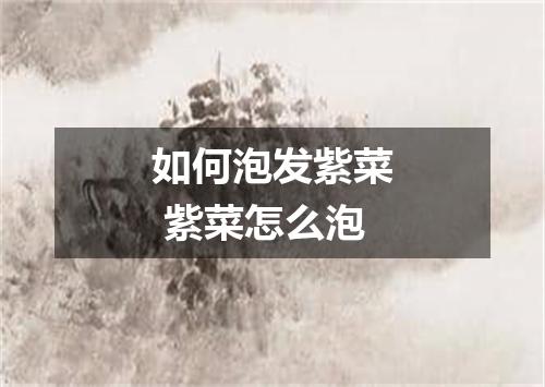 如何泡发紫菜 紫菜怎么泡