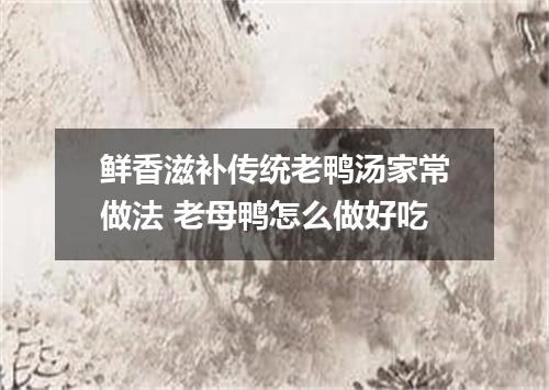 鲜香滋补传统老鸭汤家常做法 老母鸭怎么做好吃