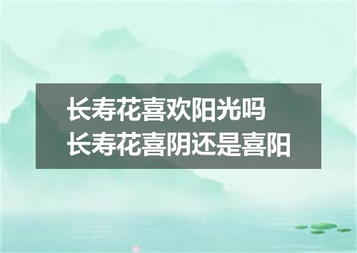 长寿花喜欢阳光吗 长寿花喜阴还是喜阳