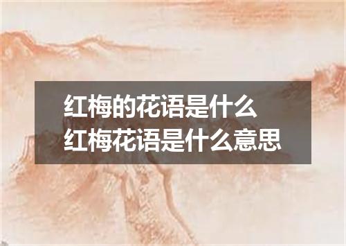 红梅的花语是什么 红梅花语是什么意思