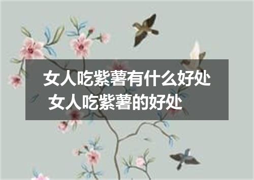 女人吃紫薯有什么好处 女人吃紫薯的好处