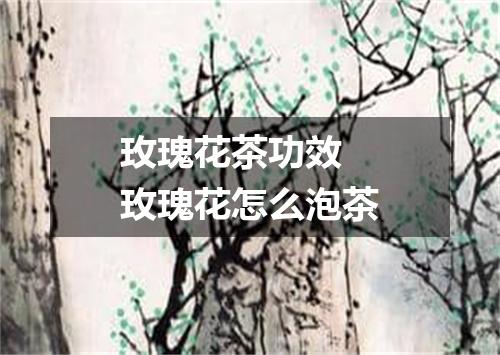 玫瑰花茶功效 玫瑰花怎么泡茶