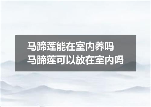 马蹄莲能在室内养吗 马蹄莲可以放在室内吗