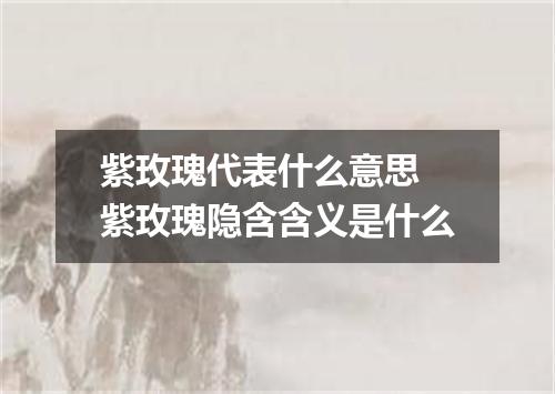 紫玫瑰代表什么意思 紫玫瑰隐含含义是什么