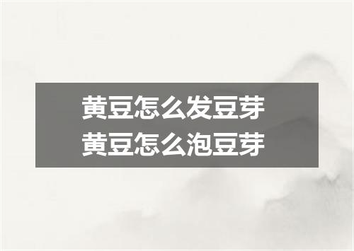 黄豆怎么发豆芽 黄豆怎么泡豆芽