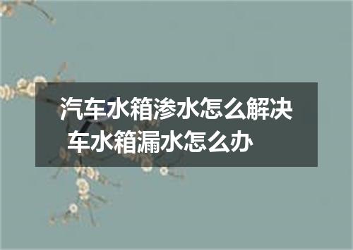 汽车水箱渗水怎么解决 车水箱漏水怎么办