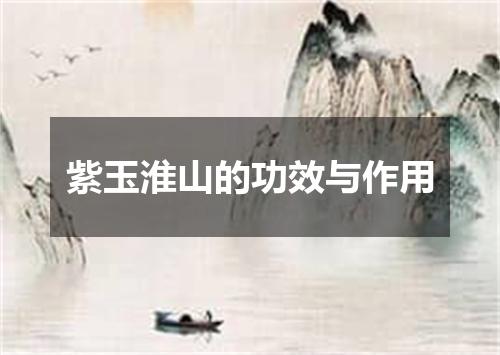 紫玉淮山的功效与作用