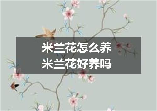 米兰花怎么养 米兰花好养吗