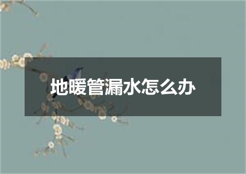 地暖管漏水怎么办