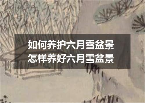 如何养护六月雪盆景 怎样养好六月雪盆景