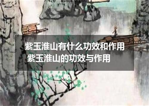 紫玉淮山有什么功效和作用 紫玉淮山的功效与作用
