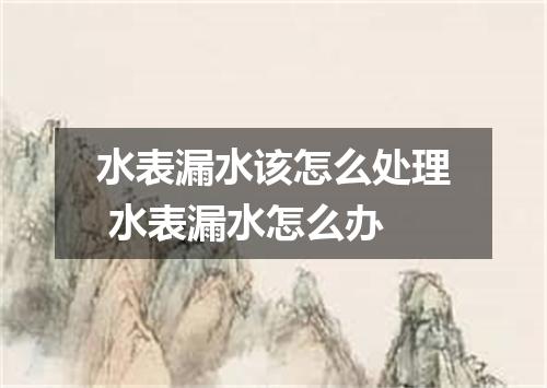 水表漏水该怎么处理 水表漏水怎么办