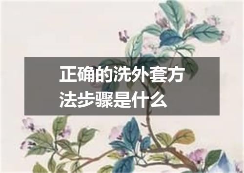 正确的洗外套方法步骤是什么