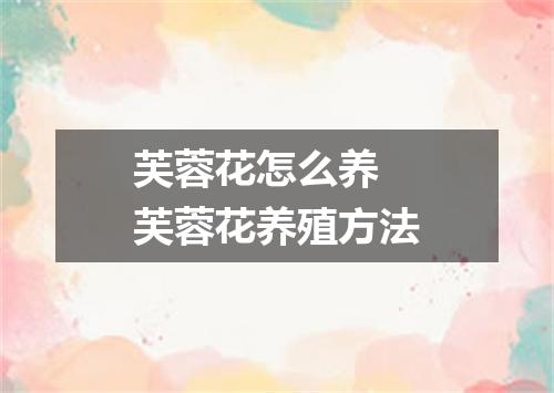 芙蓉花怎么养 芙蓉花养殖方法