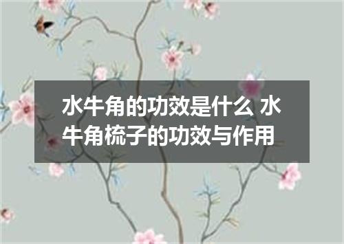 水牛角的功效是什么 水牛角梳子的功效与作用