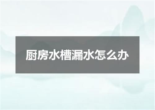 厨房水槽漏水怎么办