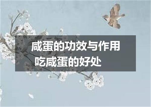 咸蛋的功效与作用 吃咸蛋的好处