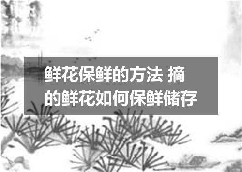 鲜花保鲜的方法 摘的鲜花如何保鲜储存