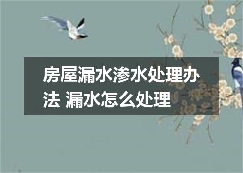 房屋漏水渗水处理办法 漏水怎么处理
