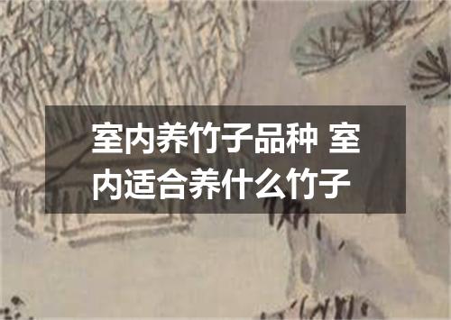 室内养竹子品种 室内适合养什么竹子