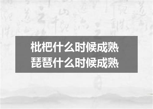 枇杷什么时候成熟 琵琶什么时候成熟
