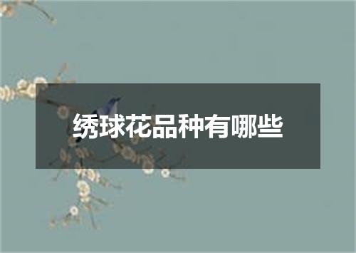 绣球花品种有哪些