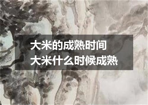 大米的成熟时间 大米什么时候成熟