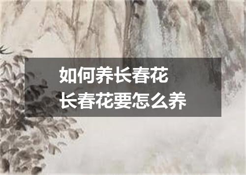 如何养长春花 长春花要怎么养