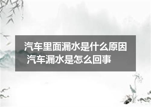 汽车里面漏水是什么原因 汽车漏水是怎么回事