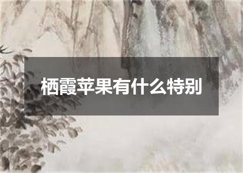 栖霞苹果有什么特别