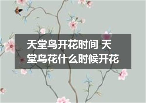 天堂鸟开花时间 天堂鸟花什么时候开花