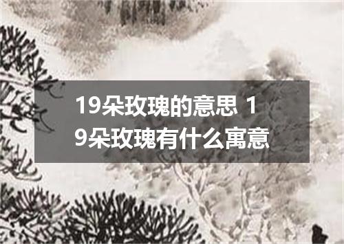 19朵玫瑰的意思 19朵玫瑰有什么寓意