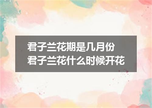 君子兰花期是几月份 君子兰花什么时候开花