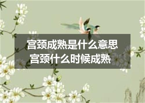 宫颈成熟是什么意思 宫颈什么时候成熟