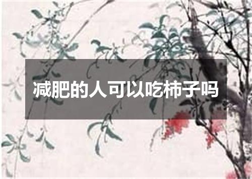 减肥的人可以吃柿子吗