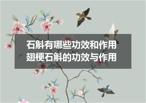 石斛有哪些功效和作用 翅梗石斛的功效与作用