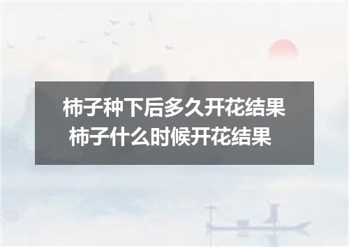 柿子种下后多久开花结果 柿子什么时候开花结果