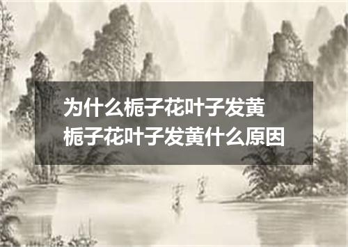 为什么栀子花叶子发黄 栀子花叶子发黄什么原因