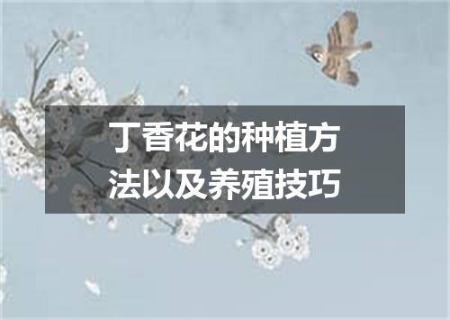 丁香花的种植方法以及养殖技巧