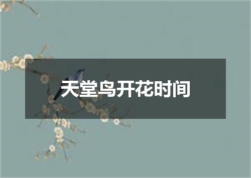 天堂鸟开花时间