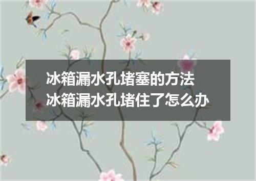 冰箱漏水孔堵塞的方法 冰箱漏水孔堵住了怎么办