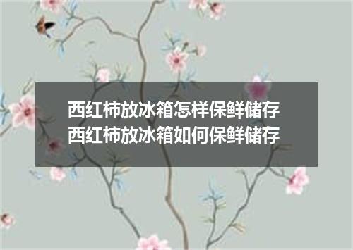 西红柿放冰箱怎样保鲜储存 西红柿放冰箱如何保鲜储存