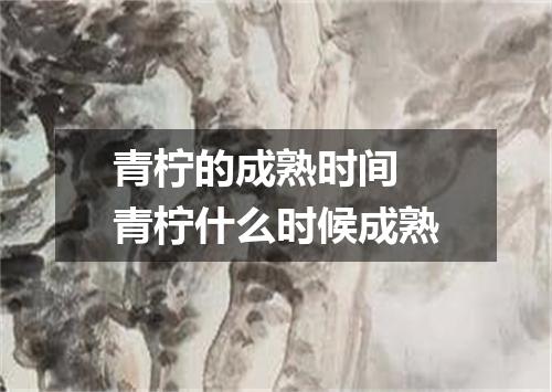 青柠的成熟时间 青柠什么时候成熟