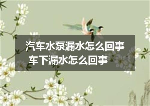 汽车水泵漏水怎么回事 车下漏水怎么回事