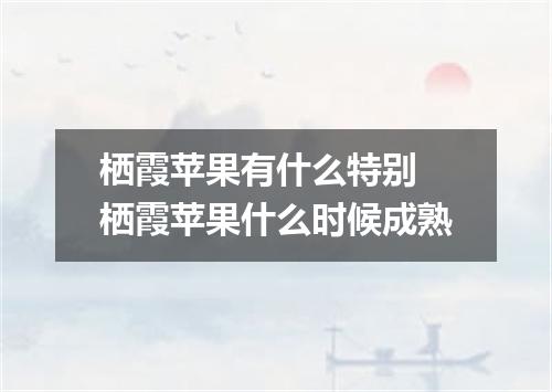 栖霞苹果有什么特别 栖霞苹果什么时候成熟