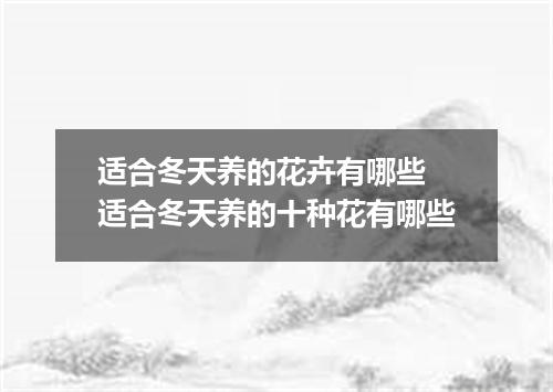 适合冬天养的花卉有哪些 适合冬天养的十种花有哪些