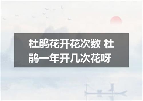 杜鹃花开花次数 杜鹃一年开几次花呀