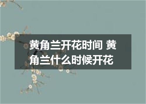 黄角兰开花时间 黄角兰什么时候开花